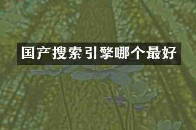 国产搜索引擎哪个最好