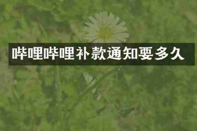 哔哩哔哩补款通知要多久