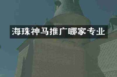 海珠神马推广哪家专业