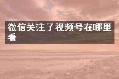 微信关注了视频号在哪里看