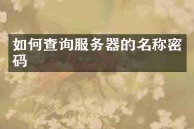 如何查询服务器的名称密码