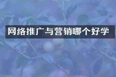 网络推广与营销哪个好学