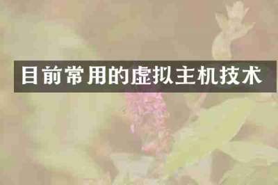 目前常用的虚拟主机技术
