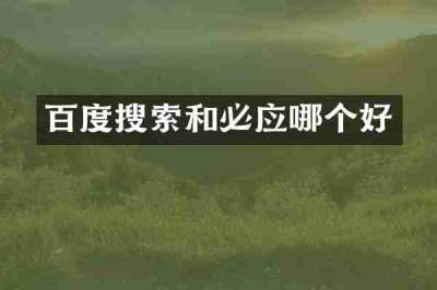 百度搜索和必应哪个好
