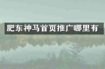 肥东神马首页推广哪里有