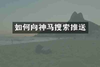 如何向神马搜索推送