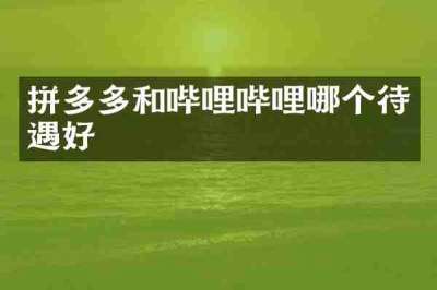 拼多多和哔哩哔哩哪个待遇好