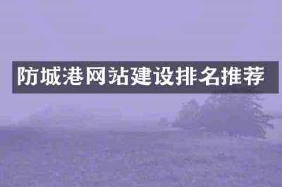 防城港网站建设排名推荐
