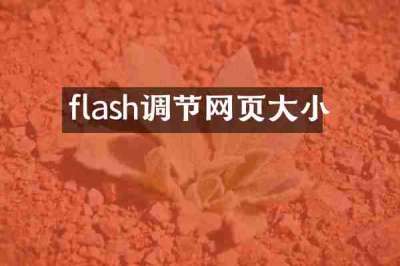 flash调节网页大小