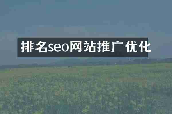 排名seo网站推广优化