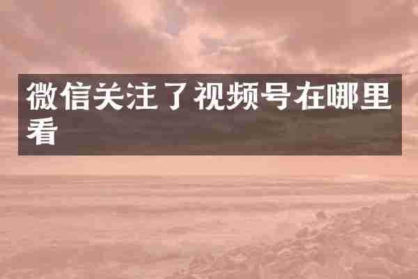 微信关注了视频号在哪里看