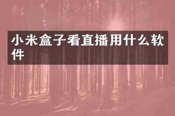 小米盒子看直播用什么软件
