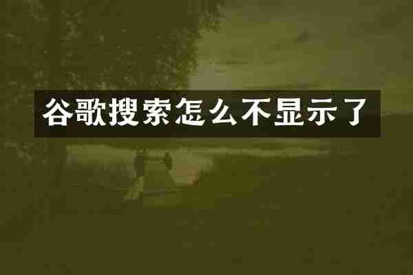 谷歌搜索怎么不显示了