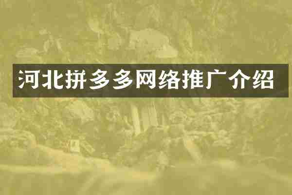 河北拼多多网络推广介绍