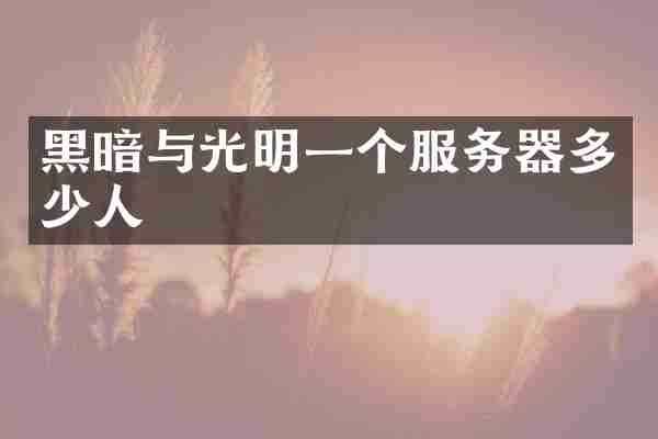 黑暗与光明一个服务器多少人