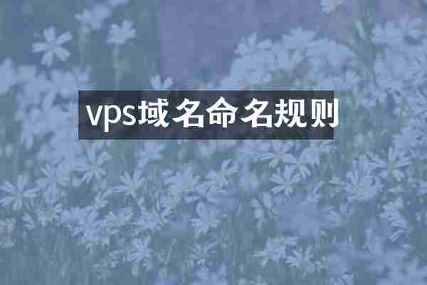 vps域名命名规则