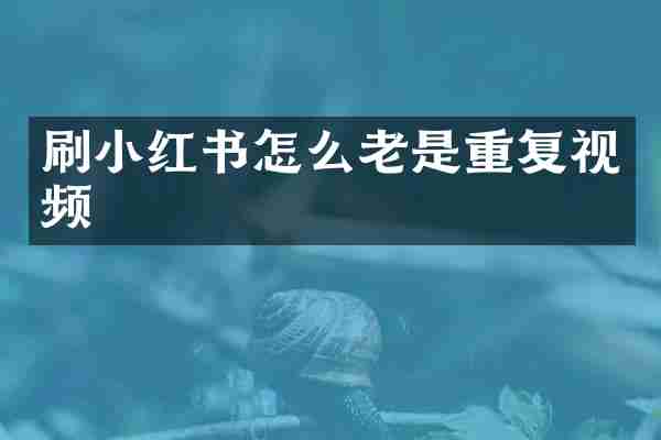 刷小红书怎么老是重复视频