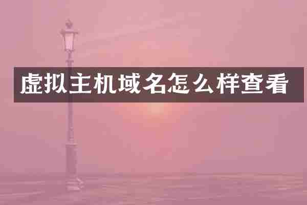 虚拟主机域名怎么样查看