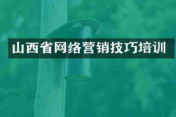 山西省网络营销技巧培训