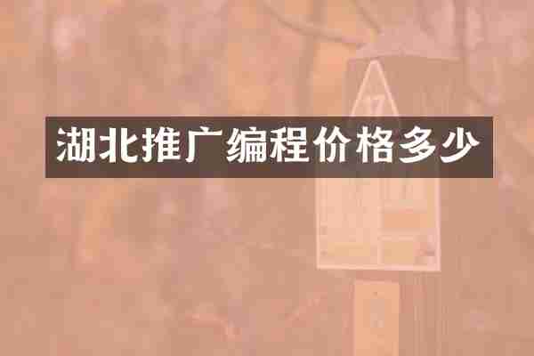 湖北推广编程价格多少