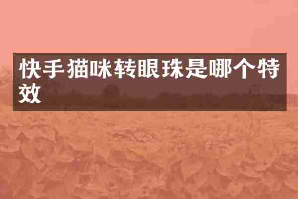 快手猫咪转眼珠是哪个特效