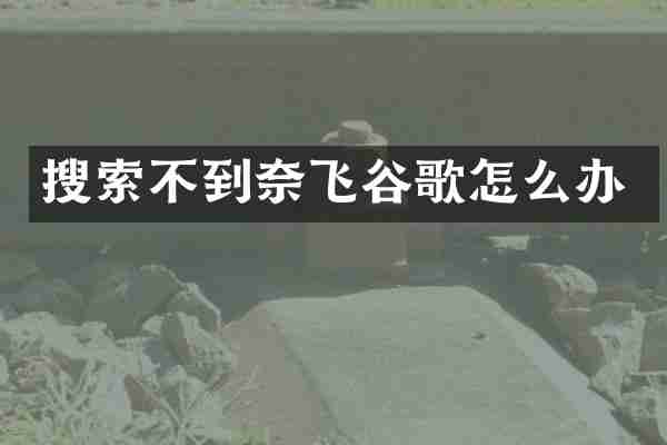 搜索不到奈飞谷歌怎么办