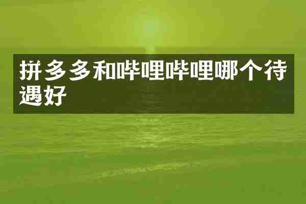 拼多多和哔哩哔哩哪个待遇好