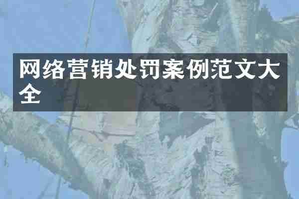 网络营销处罚案例范文大全