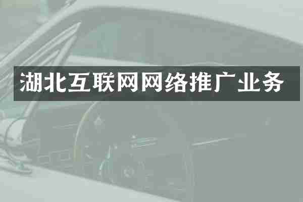 湖北互联网网络推广业务