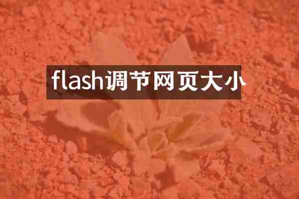 flash调节网页大小