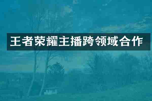 王者荣耀主播跨领域合作