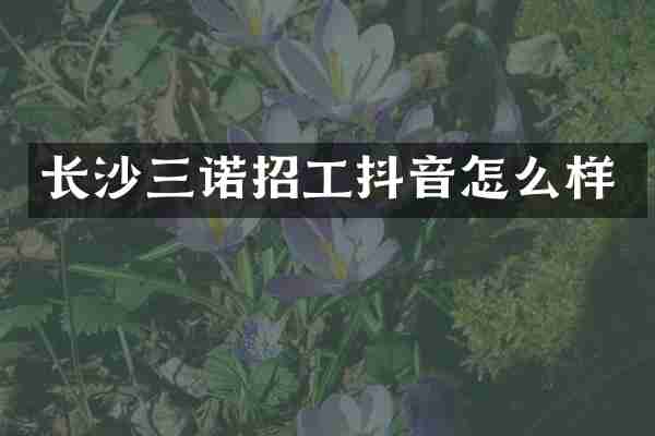 长沙三诺招工抖音怎么样