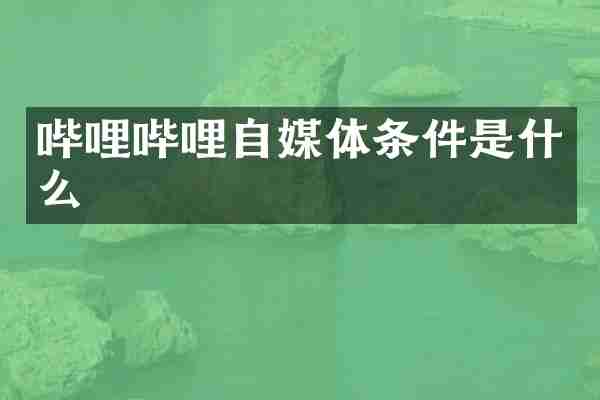 哔哩哔哩自媒体条件是什么