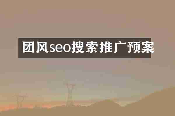 团风seo搜索推广预案