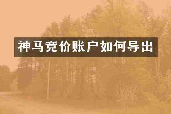 神马竞价账户如何导出
