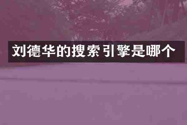 刘德华的搜索引擎是哪个