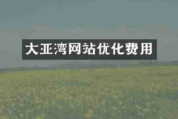 大亚湾网站优化费用