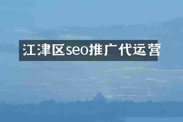 江津区seo推广