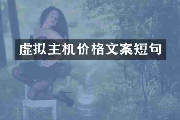 虚拟主机价格文案短句