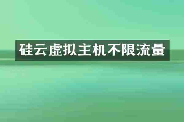 硅云虚拟主机不限流量
