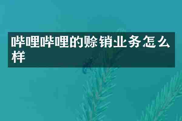 哔哩哔哩的赊销业务怎么样
