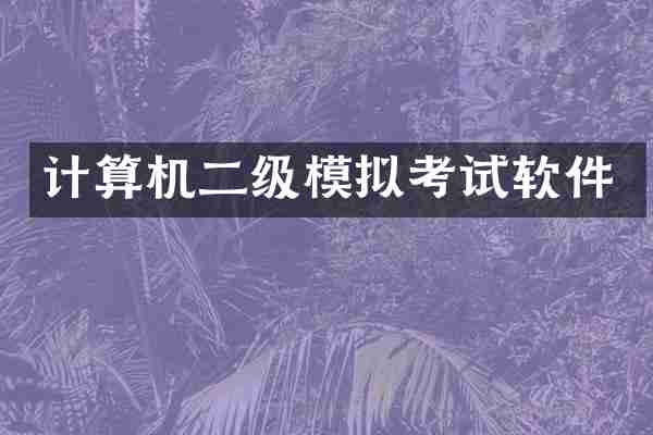 计算机二级模拟考试软件