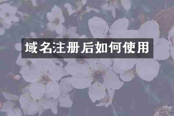域名注册后如何使用
