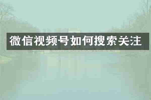 微信视频号如何搜索关注