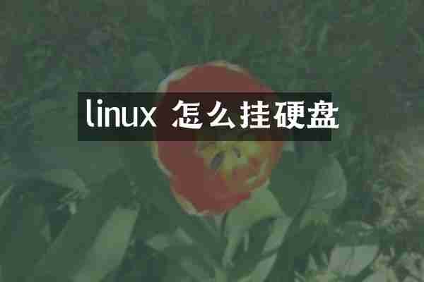 linux 怎么挂硬盘