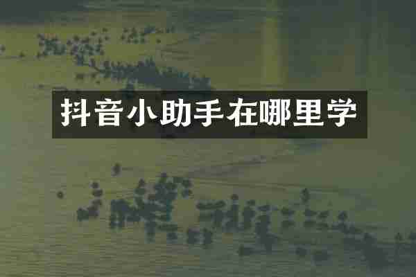 抖音小助手在哪里学