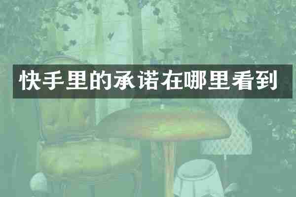 快手里的承诺在哪里看到