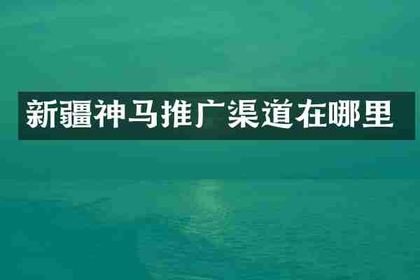 新疆神马推广渠道在哪里