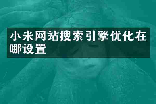 小米网站搜索引擎优化在哪设置