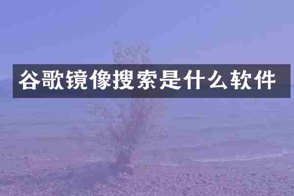 谷歌镜像搜索是什么软件